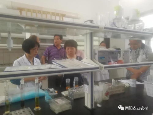 內鄉農產品檢測機構順利通過復審 中興順鑫實力彰顯